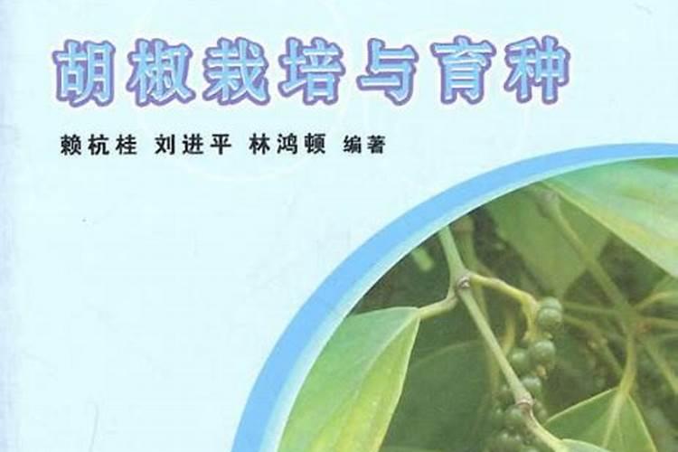 胡椒怎么种植