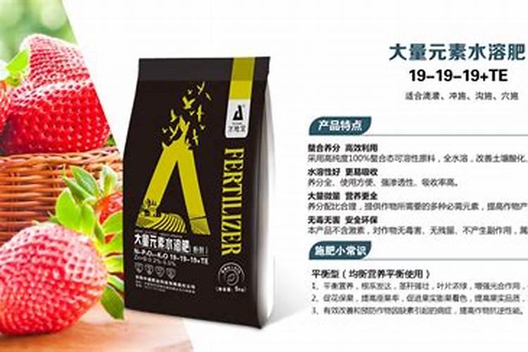种草莓用什么肥料好