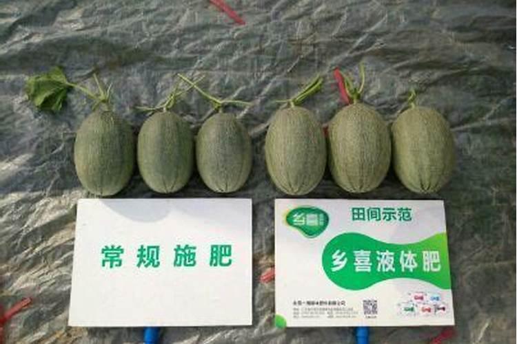 豆角能冲高钾肥料吗