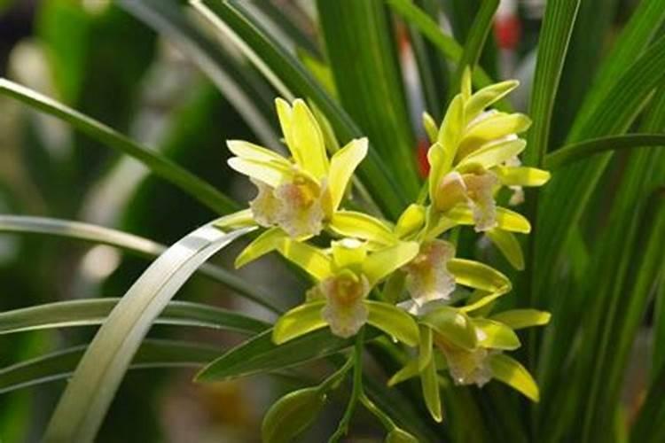 补钙用什么方法最好