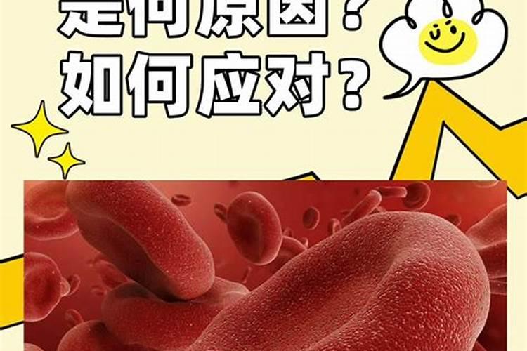 什么是高氮肥？