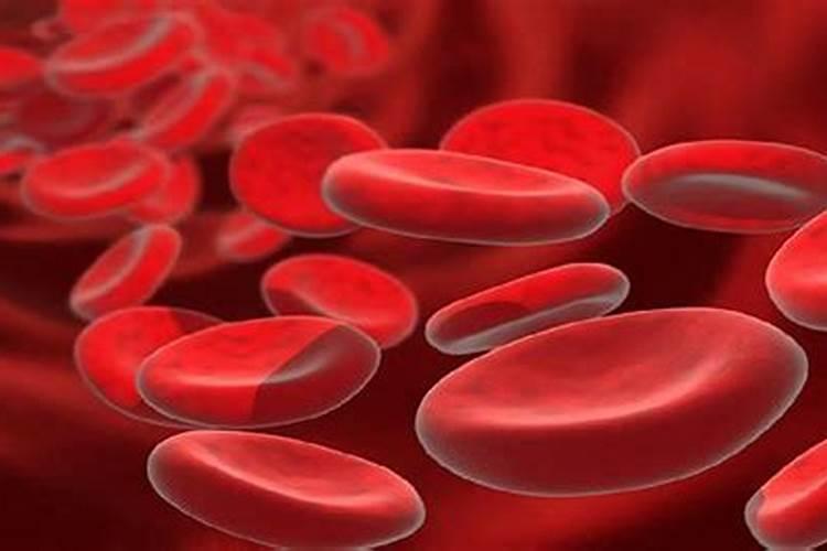 高氮肥料有哪些