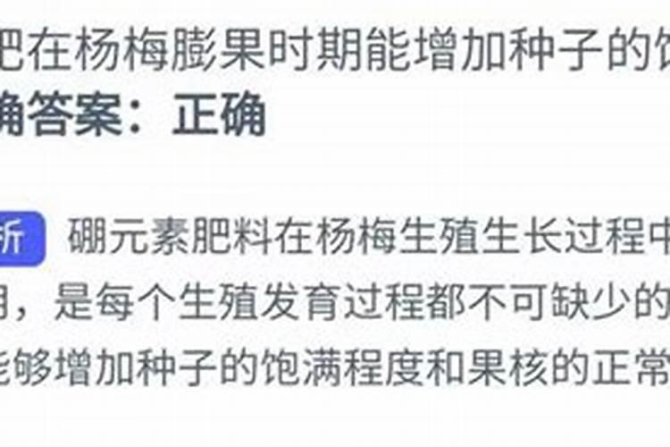 硼肥能增加杨梅种子的饱满度吗 硼肥属于什么肥