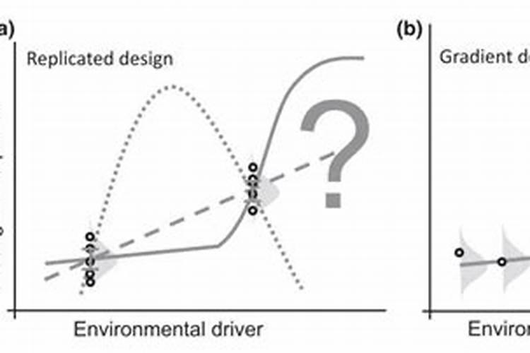 让树木快速生长的肥料