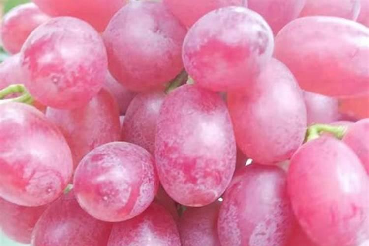 葡萄二次膨大生长调节方法