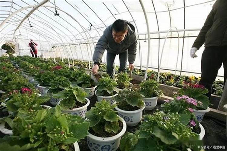 氮肥和磷肥怎么区分