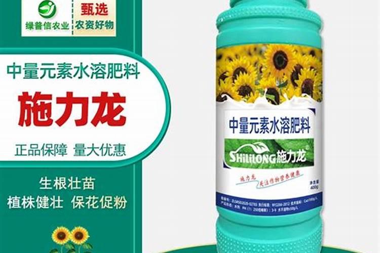 秋葵什么时候种植,多在3～4月春播