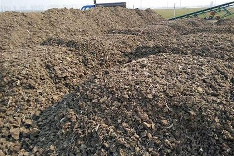 水溶肥和复合肥有什么区别？正确选择肥料,对作物种植好处连连