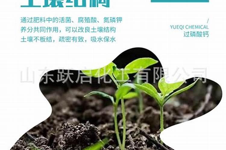 枣树用什么肥料好