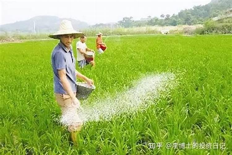 化肥全面降价,氮磷肥已降1000元一吨,影响价格的主要因素有哪些？