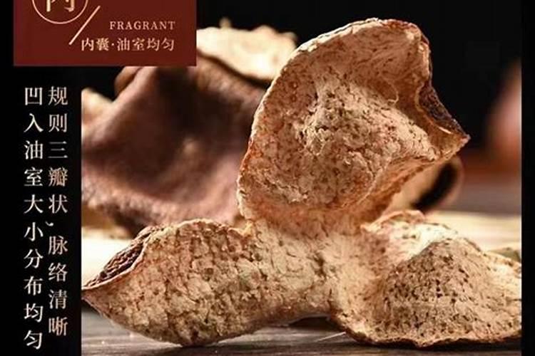 十年陈皮是指树龄吗？