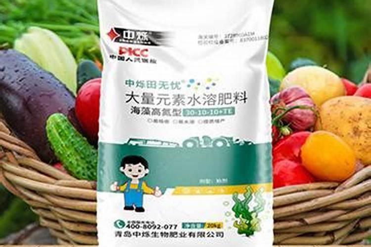 今天我下西红柿种孑,苗床用了了甲一拌磷乳油,过量了,求解决