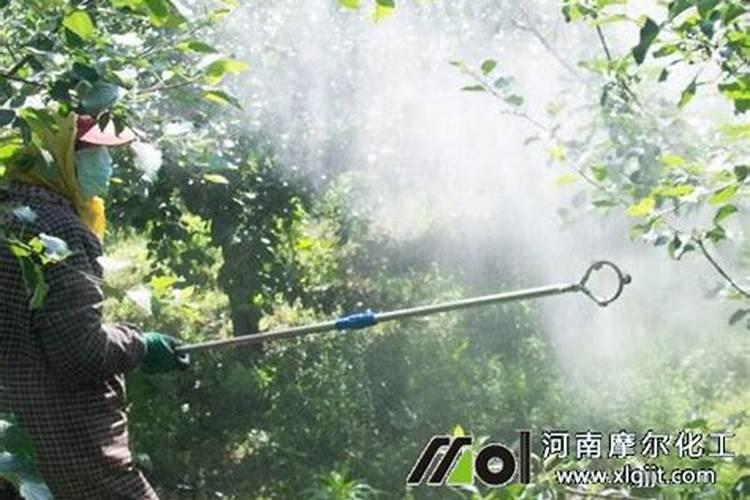 米兰花用什么肥料最好,鸡蛋壳可以吗,多久用一次