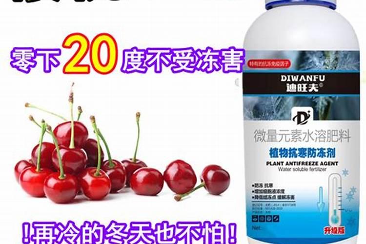 樱桃树的施肥
