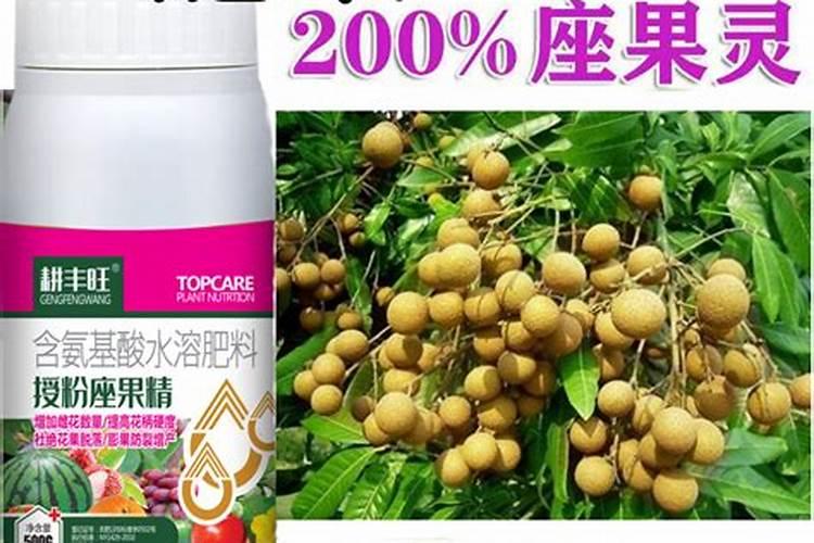 葡萄开花期用什么药能打番茄坐果灵么