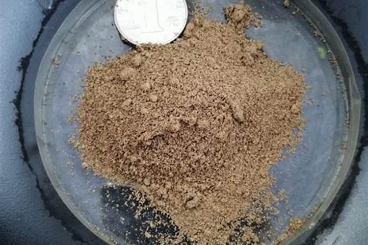 如何辨别鱼胶原蛋白粉