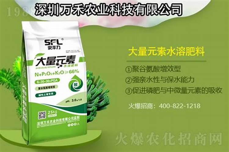 辽宁桃子品种有哪些 辽宁哪里产的桃子好吃