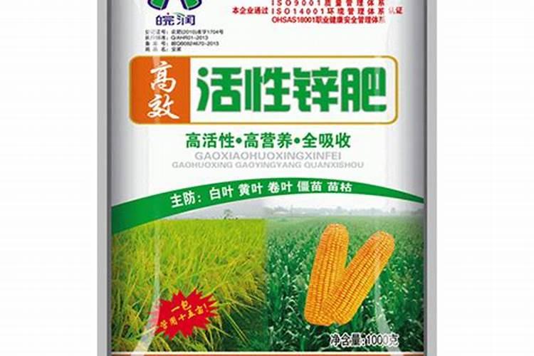 草炭土制作方法(草炭土的优点)