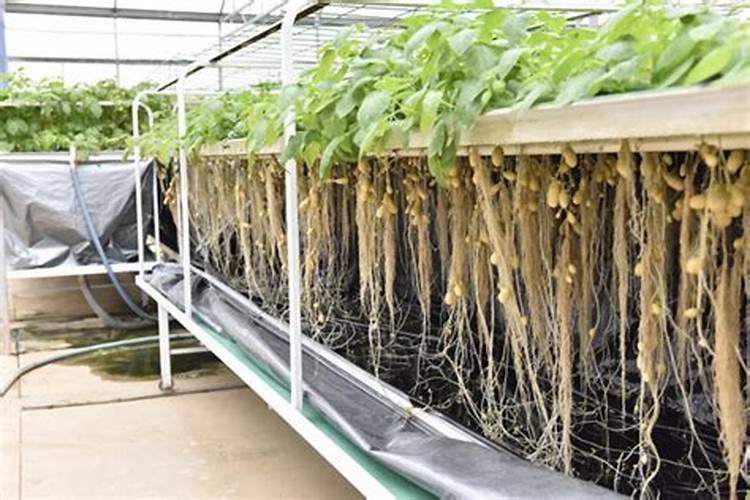 1.水溶肥如何正确使用,谁给解说一下