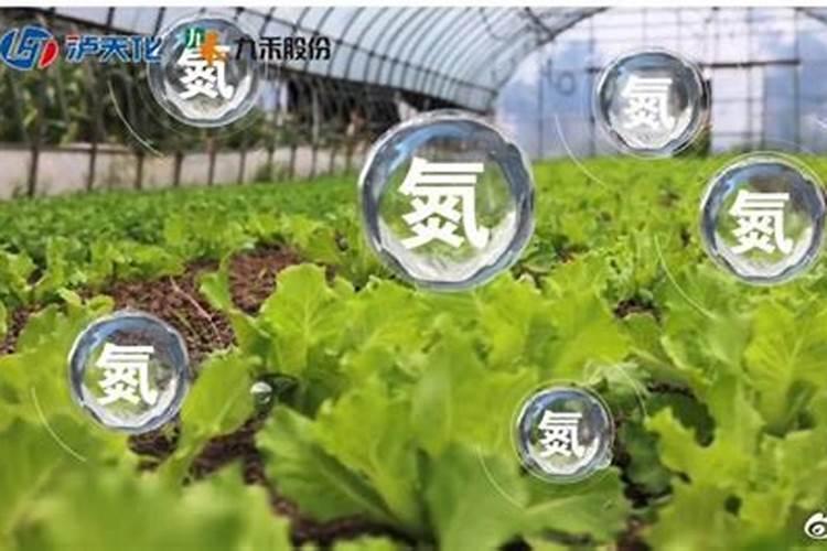 四川省有哪些上市化工企业？