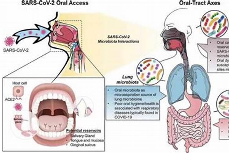 磷肥能燃烧吗,加熟石灰研磨后有什么气味将产生？