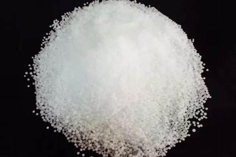 广东台湾草皮多少钱一捆？