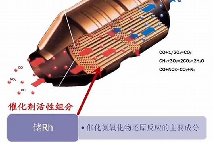 种菜用尿素还是复合肥