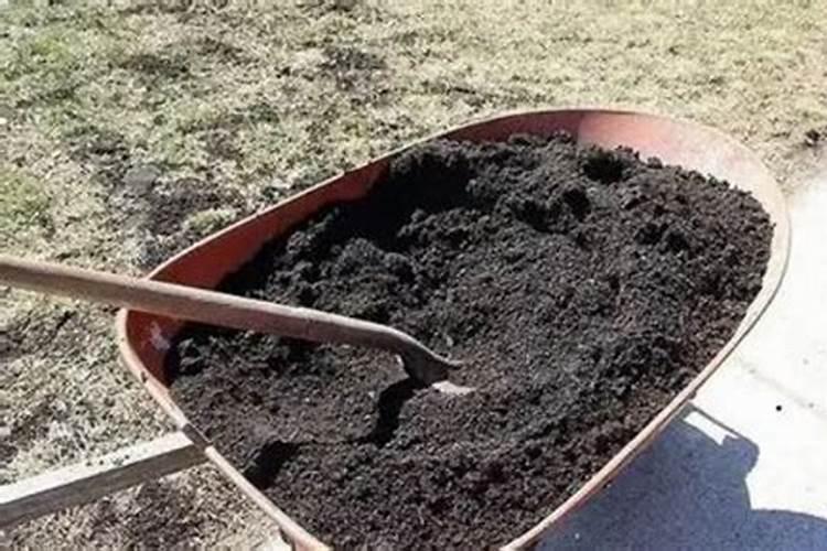 堆肥桶是不是不能每天打开