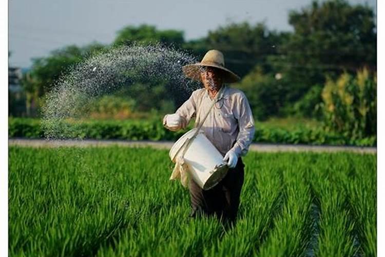 把水晶泥洗成假水