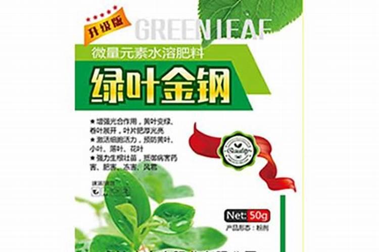 广东中山的特产有哪些