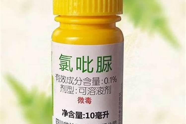 芸苔素和哪些肥料搭配使用,效果最佳呢？