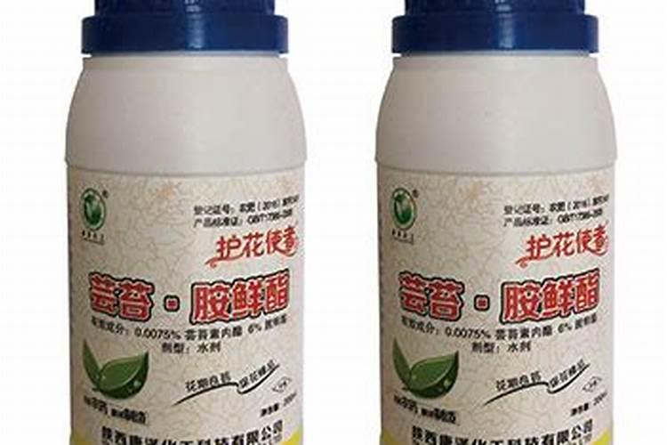 芸苔素使用十大禁忌 要避免