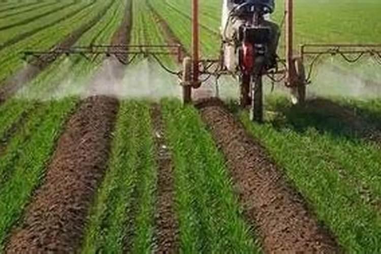 种麦什么复合肥好