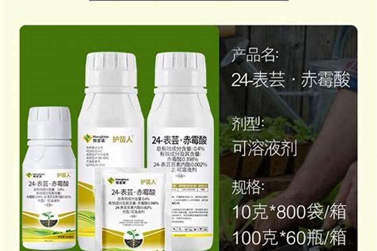 赤霉素和芸苔素哪个好