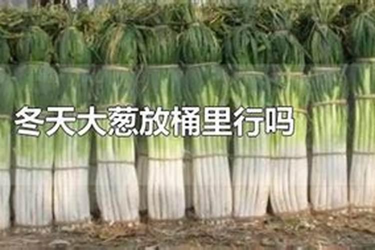 大葱干尖打什么药