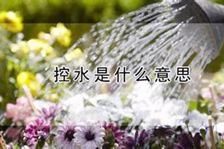 自己种的草莓为什么不甜