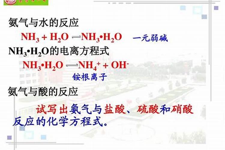 你了解钙肥吗,钙肥怎么选？什么时候用？怎么用？