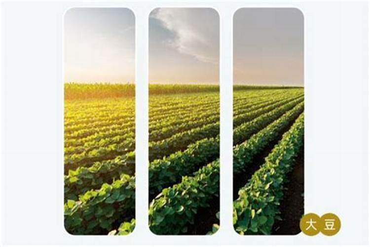 大量元素水溶肥有什么作用