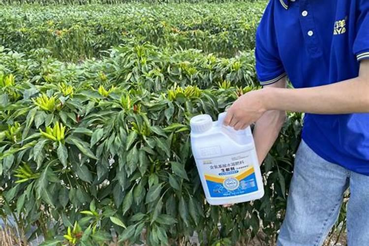 沃柑开花前施什么肥 沃柑开花前施哪些肥