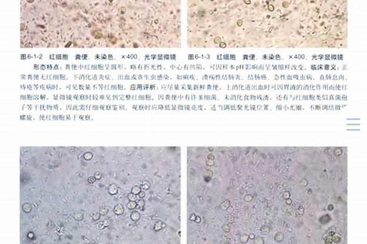 碱性大的地适合种什么农作物