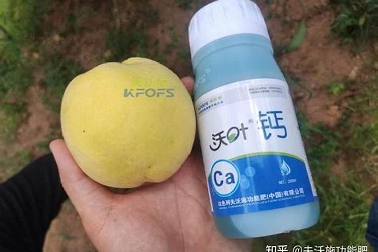 磷酸钙可以做肥料吗