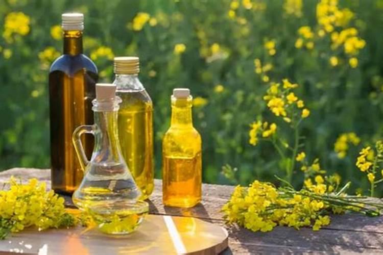 过期的豆油可以当肥料吗