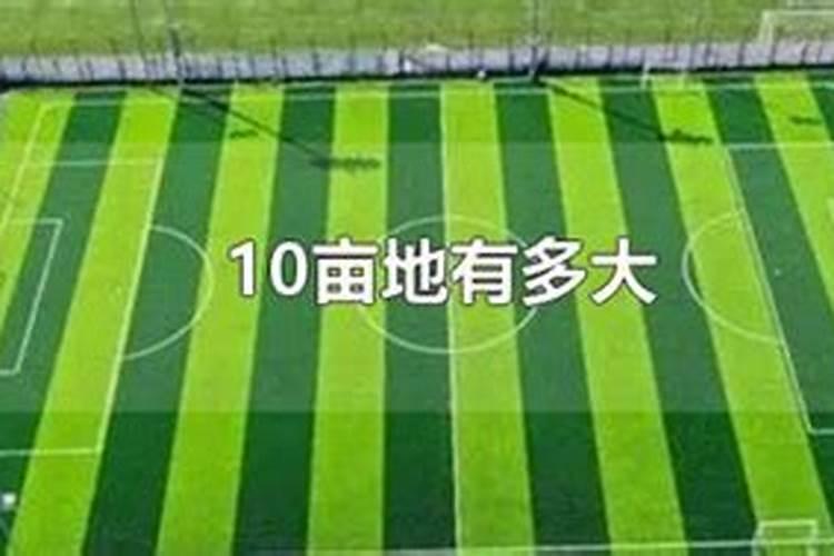 10亩地的小麦能收入多少啊？有知道的没？