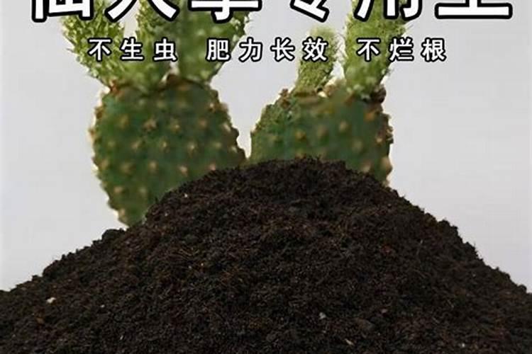 如何检验氧化钙