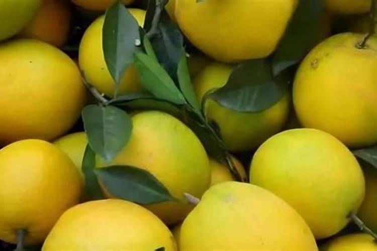 沃柑上色慢皮厚有什么好的办法解决？