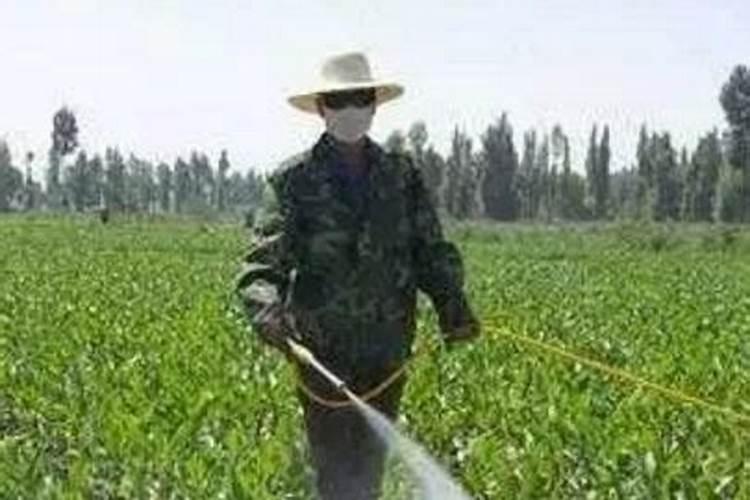 钙镁硼锌铁钾中微元素水溶肥的作用是