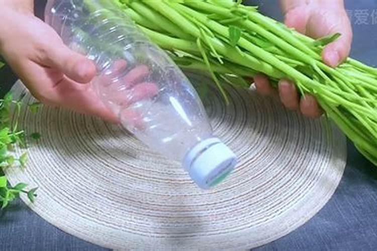 为什么辣椒不能用尿素施肥