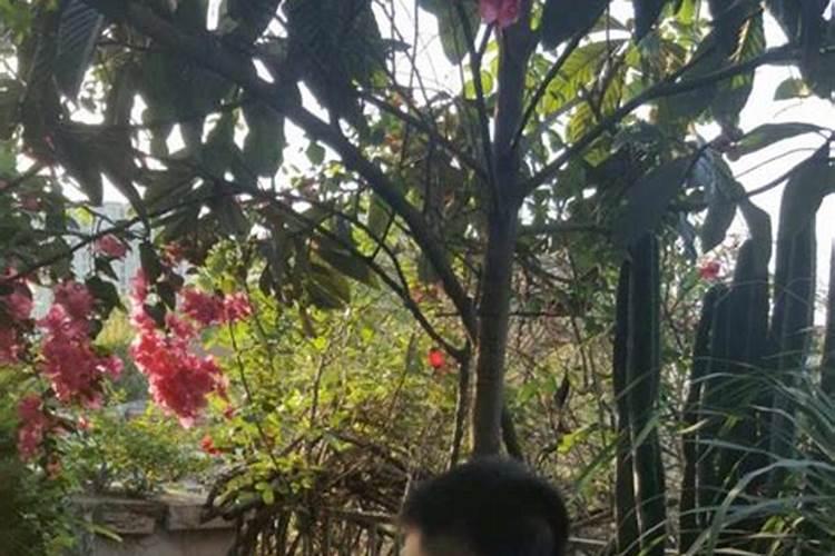 人尿能不能用来浇花？