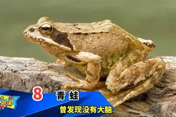 中国磷肥哪个最好