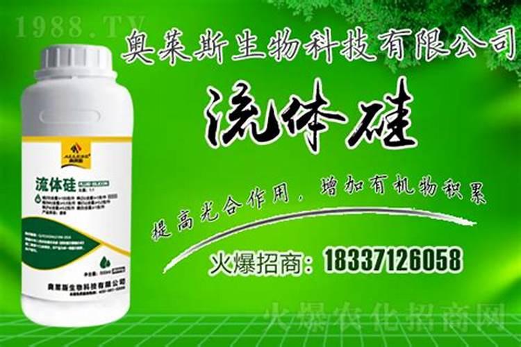 硅肥为何要禁止使用